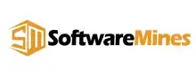 it services in jaipur