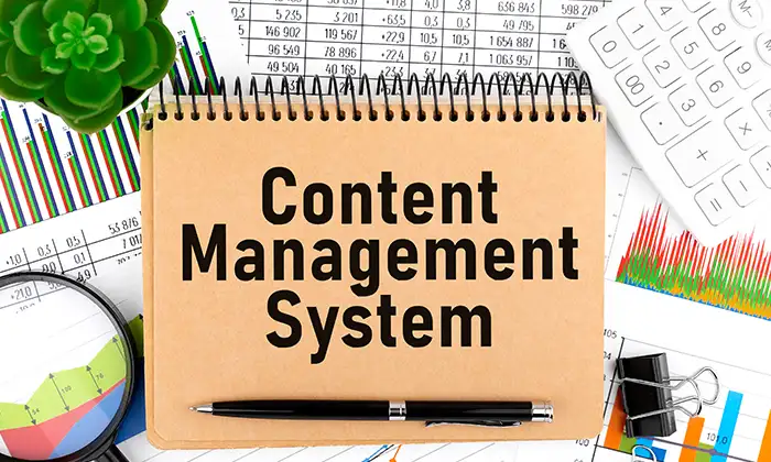 CMS Maintenance and Support Services