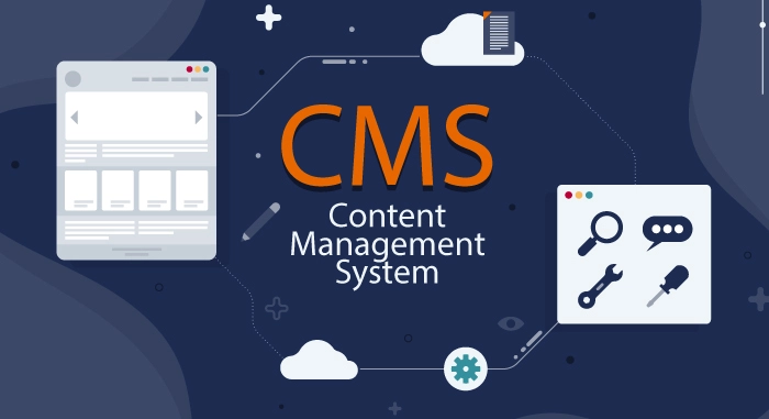 CMS development services